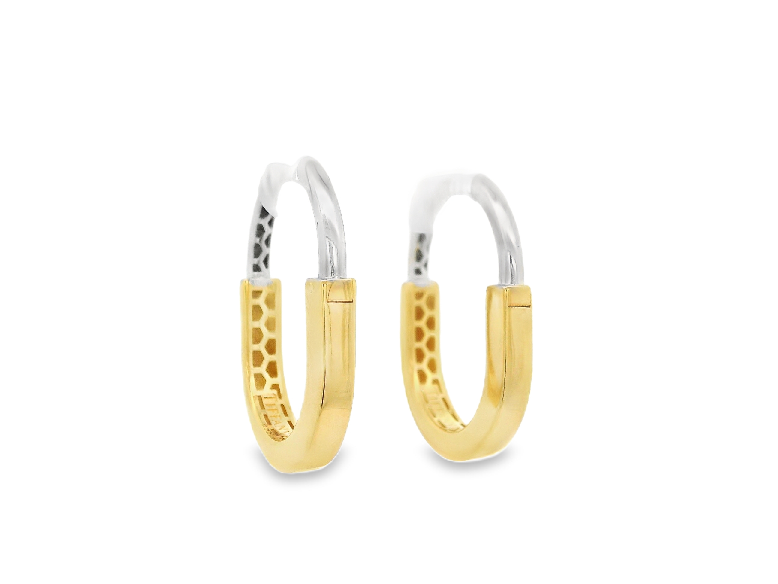 Oval Lock Hoop Earrings